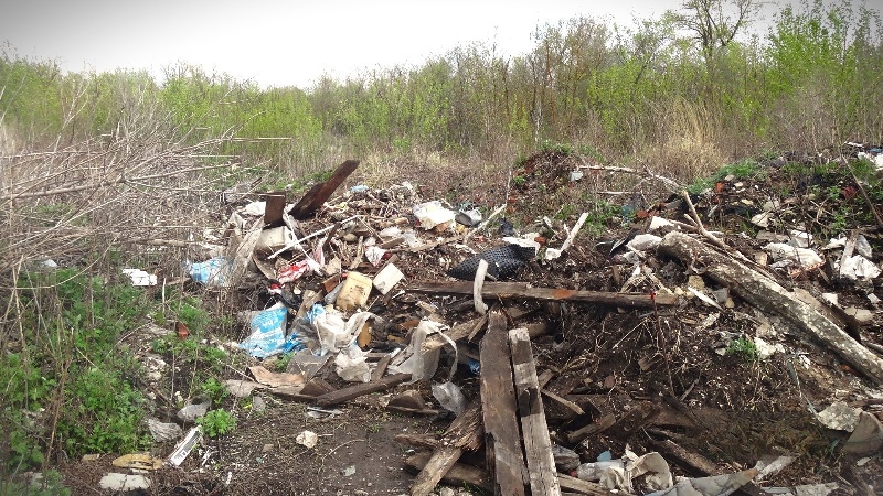 Экологический ущерб от свалки бытовых и строительных отходов под Мичуринском оценён в 13 миллионов рублей