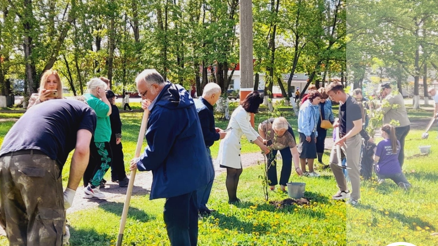 Жители Мичуринска высадили рябиновую «Семейную аллею»