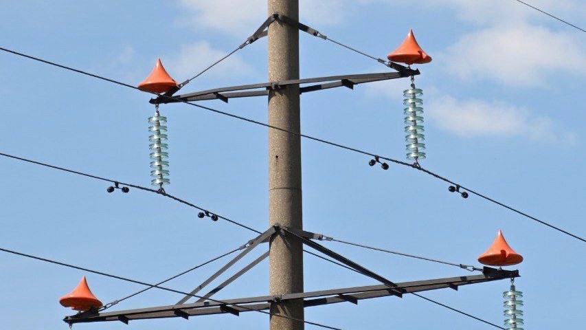 В Тамбовской области устанавливают птицезащитные устройства на линиях электропередачи