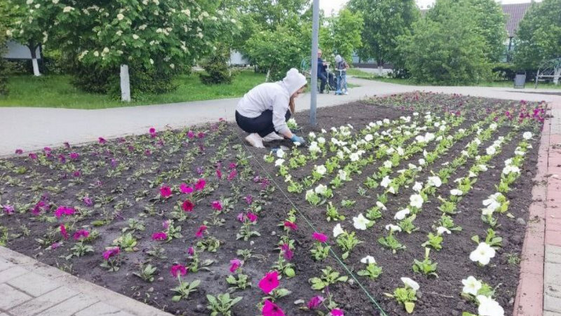 Клумбы Уварова украсят почти 30 тысяч цветов