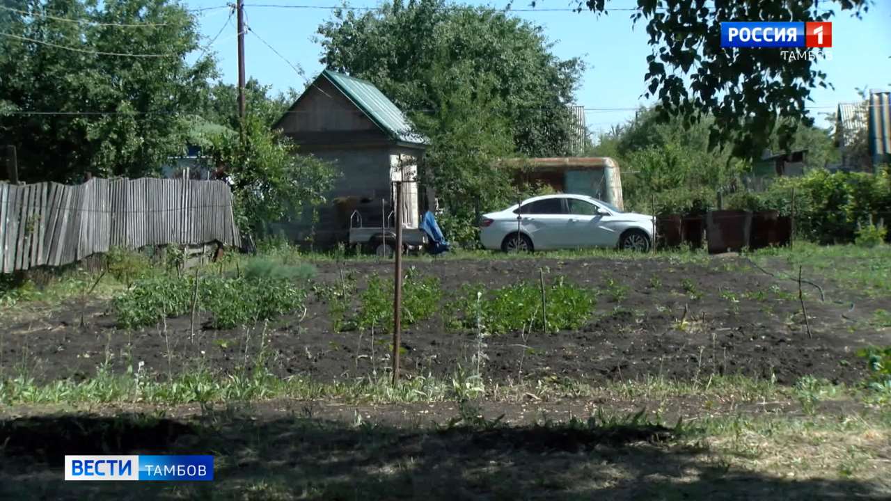 Новости коротко: гибель школьницы в Первомайском округе, субсидии на оплату  ЖКХ и социальная газификация - ВЕСТИ / Тамбов