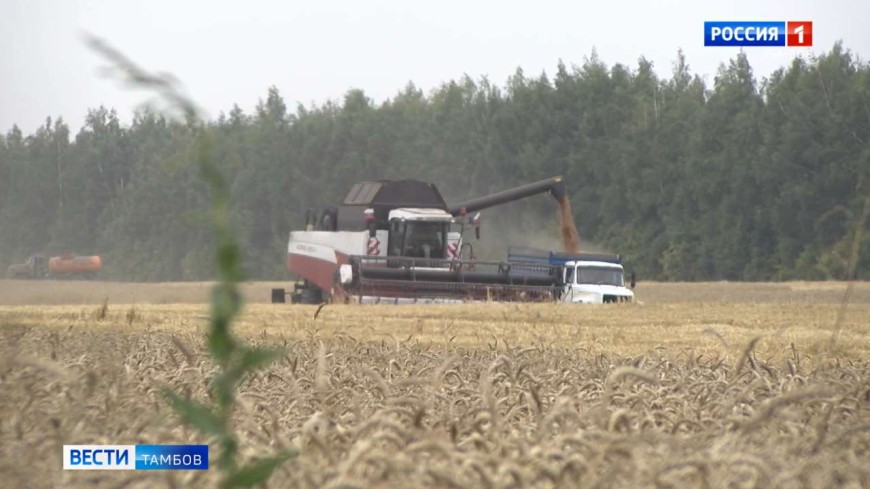 Новости коротко: подготовка к уборочной кампании, парковки в многоквартирных домах и авария в центре Тамбова