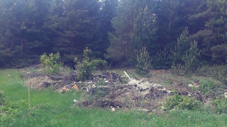 Около лесов Сосновского округа прокуратура обнаружила свалки ТКО