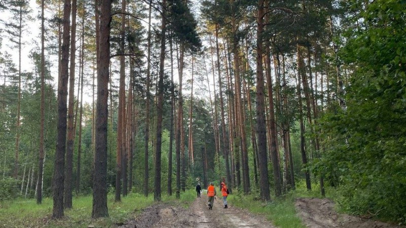 Волонтёры «Лизы Алерт» рассказали историю поисков заблудившегося в лесу мужчины