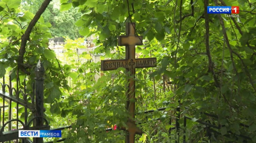 Слишком зелено: Петропавловское кладбище нуждается в благоустройстве