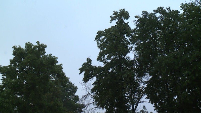В Тамбовской области прогнозируют грозу с градом и сильный ветер