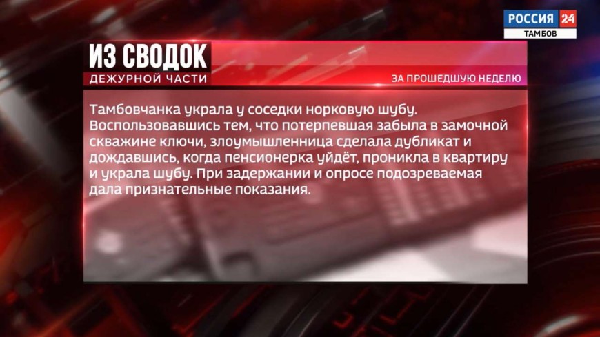 Одной строкой: кража норковой шубы, итоги операции «Нелегальный мигрант» и уголовное дело в отношении директора УК