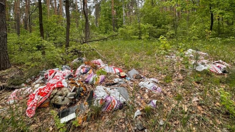 Активисты «Зелёного фронта» обнаружили в лесу под Тамбовом кучу мусора