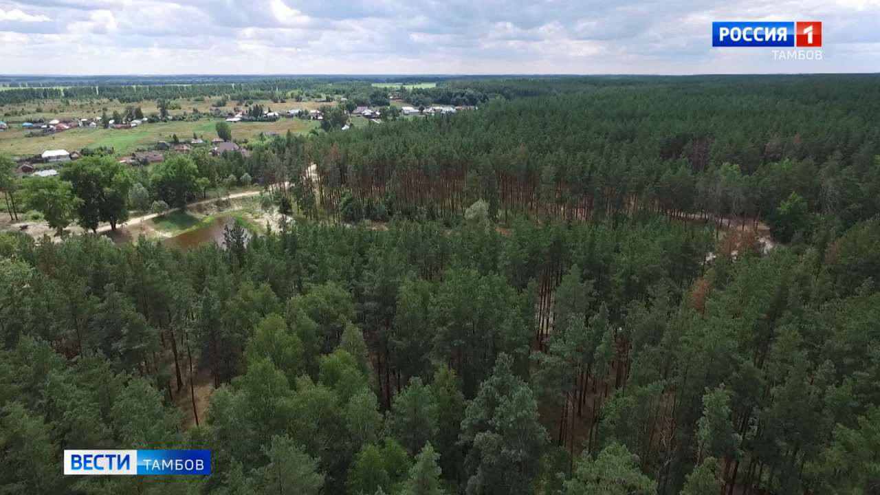 Новости коротко: тёплая погода, туристический маршрут и ограничение движения транспорта