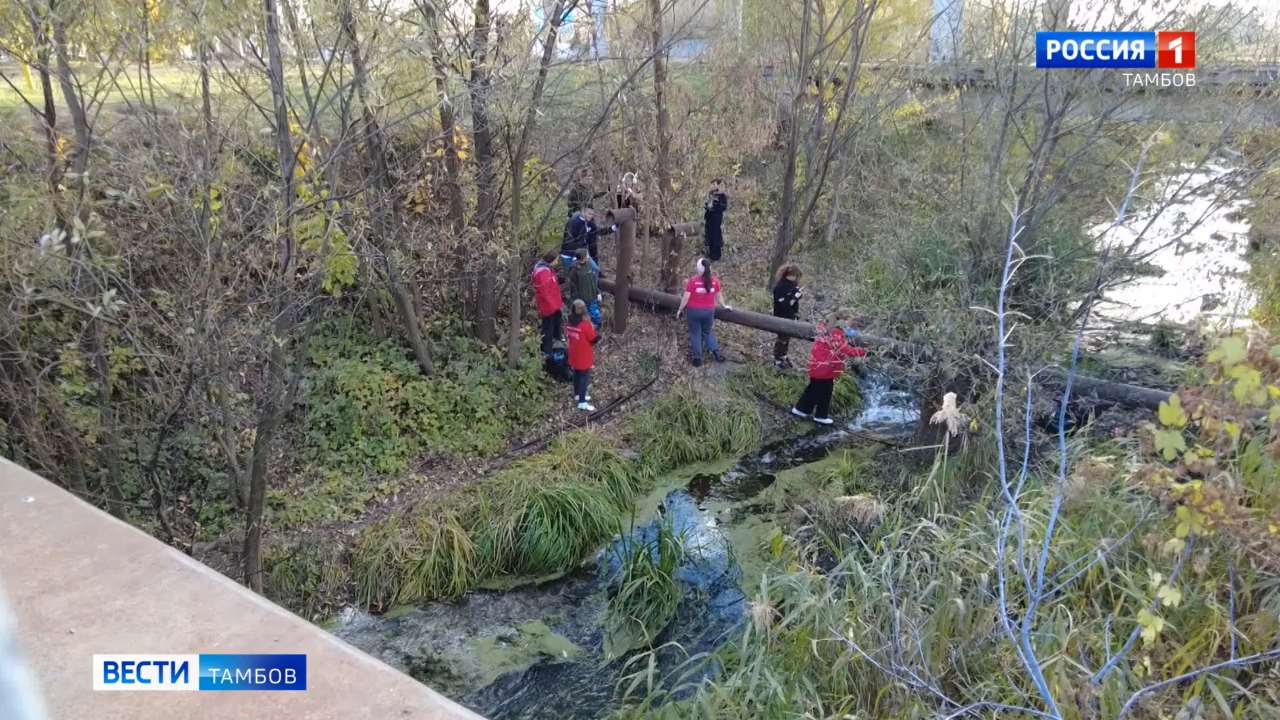 Волонтёры вновь и вновь расчищают берег реки Жигалки