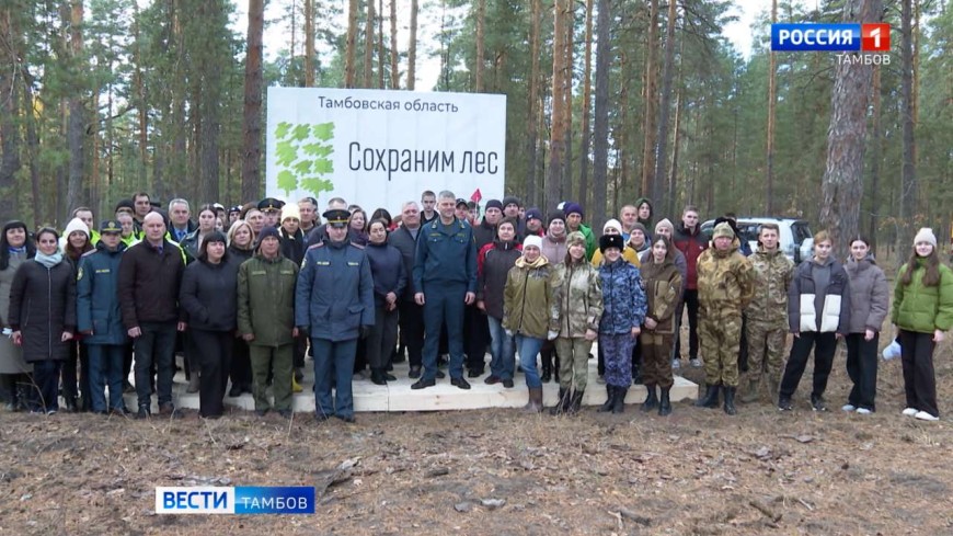 Тамбовщина приняла участие в акции «Сохраним лес»