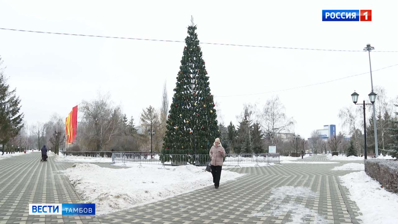 Тамбовчане готовятся к Новому году