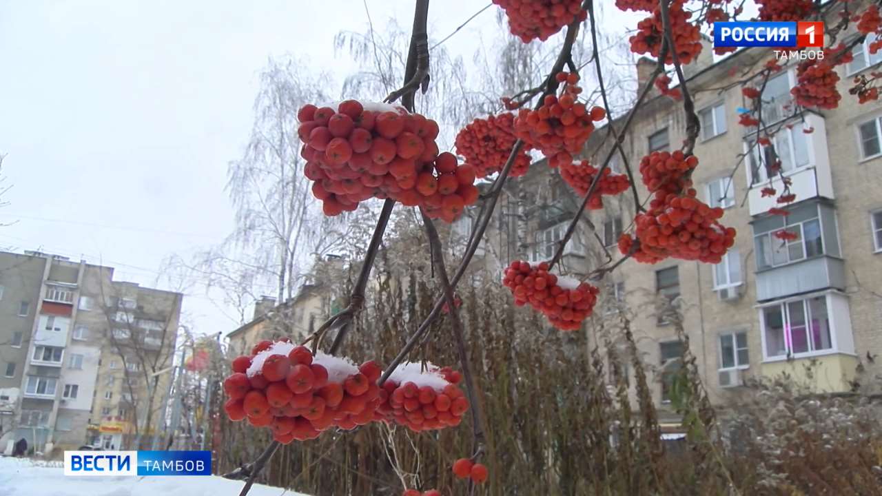 Рождественская ночь будет самой холодной на этой неделе