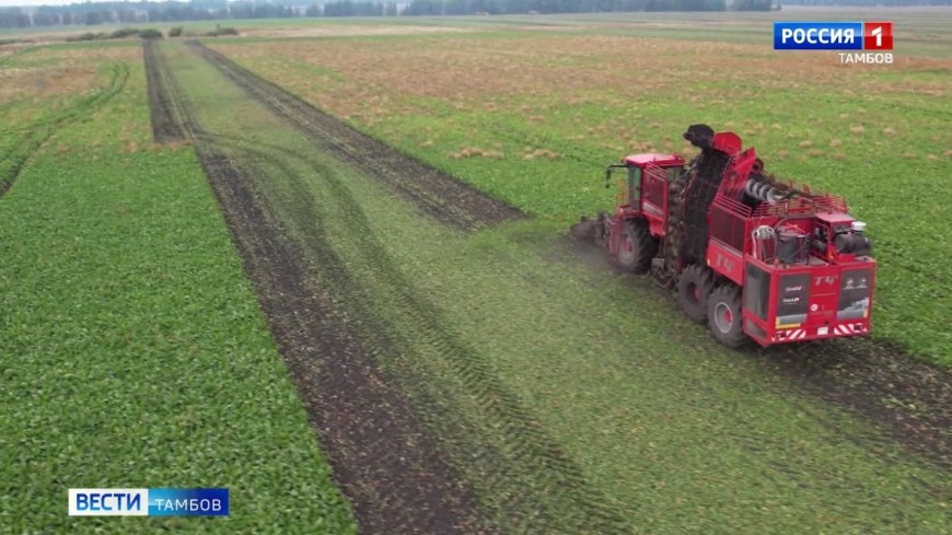 Тамбов готовится к проведению конкурса профмастерства