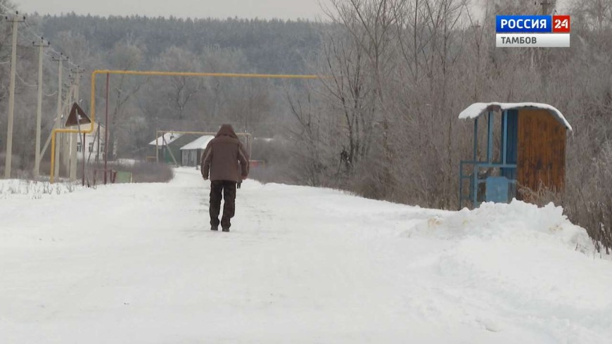 Движение автобуса «Тамбов – Чекмари» восстановлено