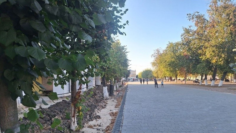 При благоустройстве в Мичуринске было похищено около 6 миллионов рублей