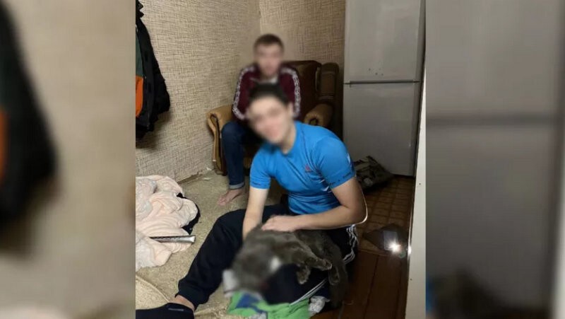 Тамбовчане получили условные сроки за убийство кота Тимофея
