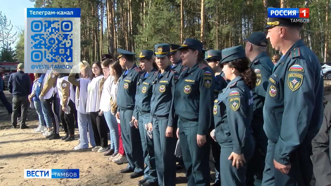 Новости коротко: новый вице-губернатор, «Сад памяти» и проверка системы оповещения