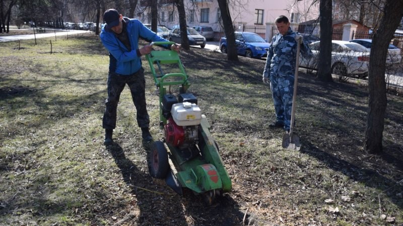 Рабочие Дирекции благоустройства и озеленения приступили к удалению пней в парках Тамбова