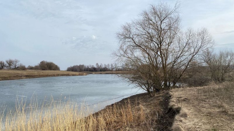 Водолазы достали тело мужчины из пруда в Мичуринском округе