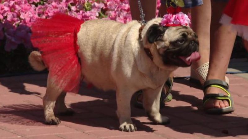 В этом году Тамбовскую область посетило свыше миллиона туристов