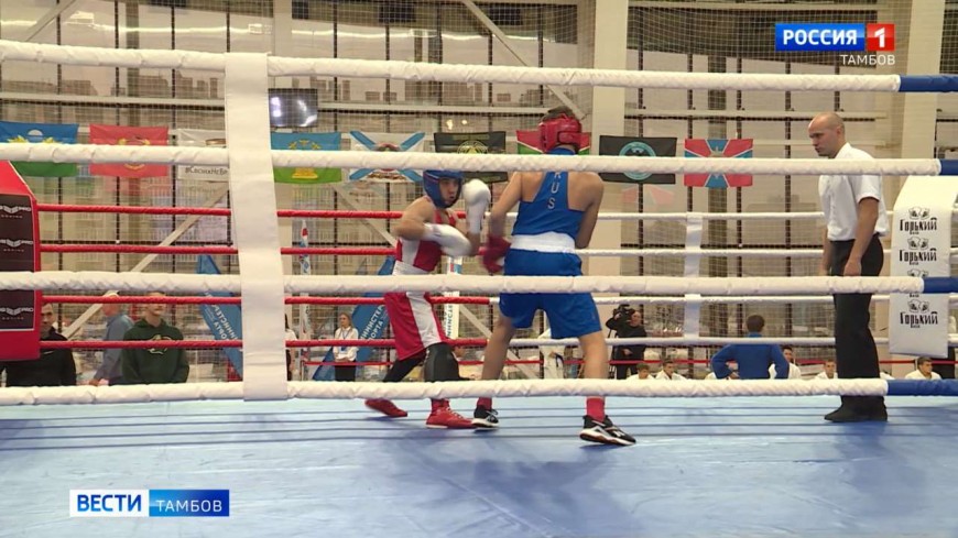 Новости коротко: IV Фестиваль единоборств и фестиваль национальной кухни «Вкусы России: ярмарка дружбы и единства»