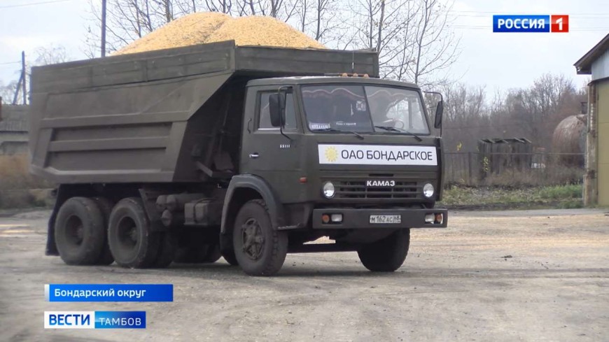 В Бондарском округе завершают просушку кукурузы