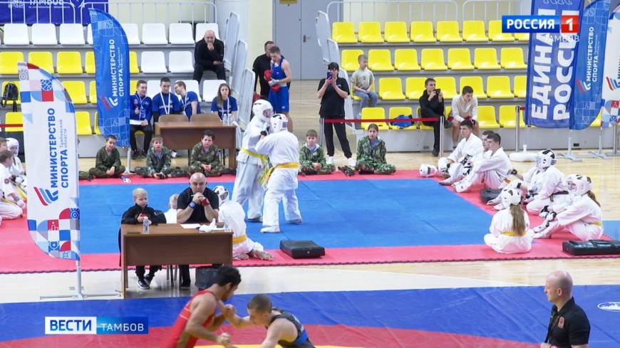 В Тамбове отметили День народного единства большим фестивалем единоборств