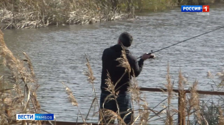 Мягкая осень продолжит радовать тамбовчан на этих выходных