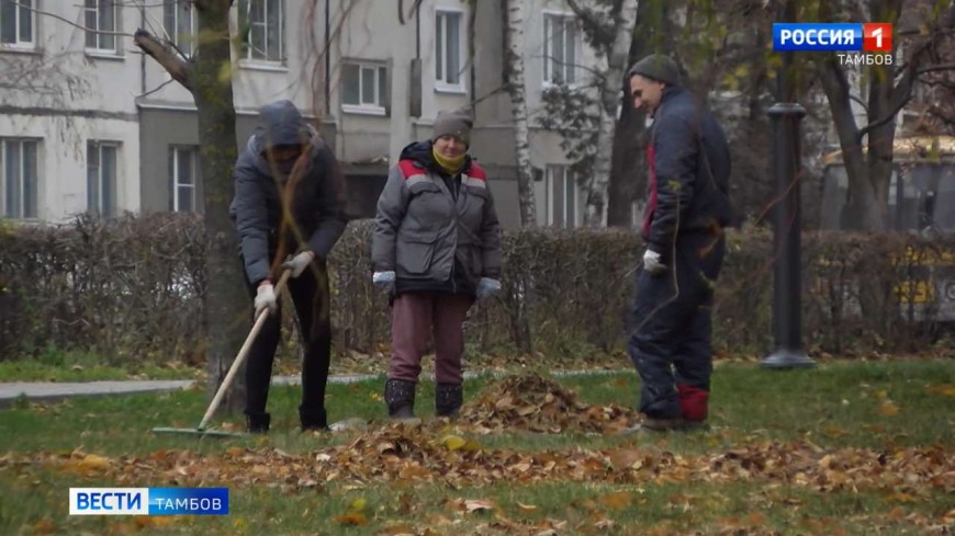 На этой неделе тамбовчан ожидают дожди