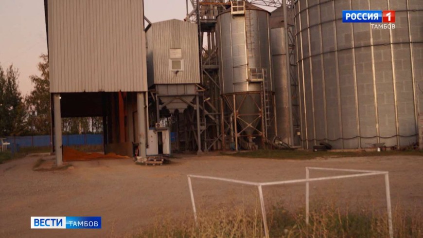 Как украсть 60 тонн сои?