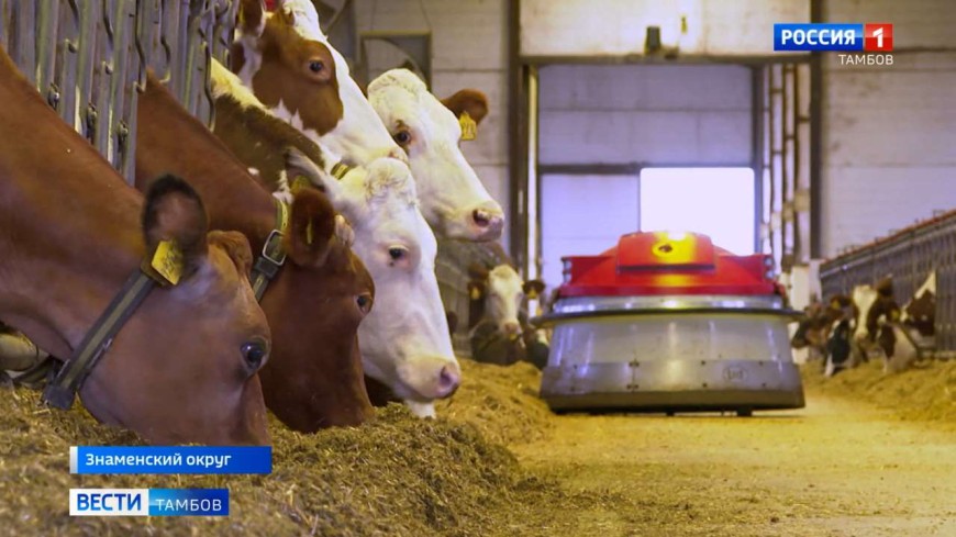 Рабочая поездка Евгения Первышова в Знаменский округ