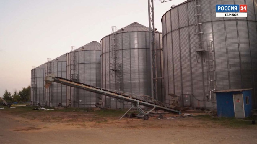 Как украсть 60 тонн сои?