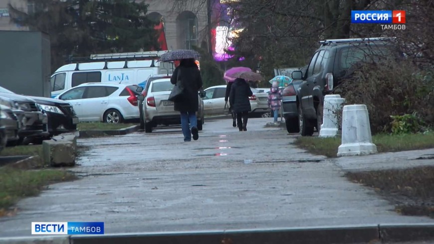 В Тамбовской области ожидаются туман и дожди