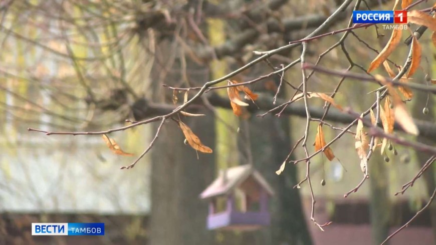 Температура воздуха опустится до климатической нормы