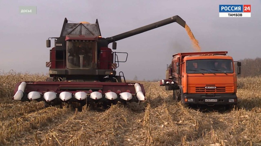 Вести. Экономика – эфир от 29 ноября 2025 года