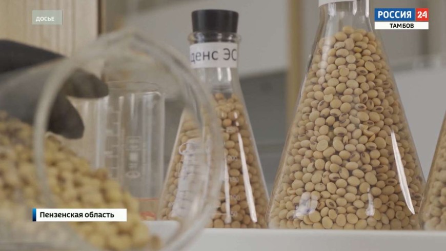 События недели – эфир от 30 ноября 2025 года