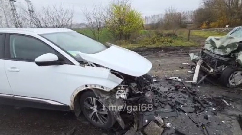 На трассе в Петровском округе погиб 77-летний водитель