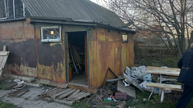 Дачная беседка – эфир 20 ноября 2025 года