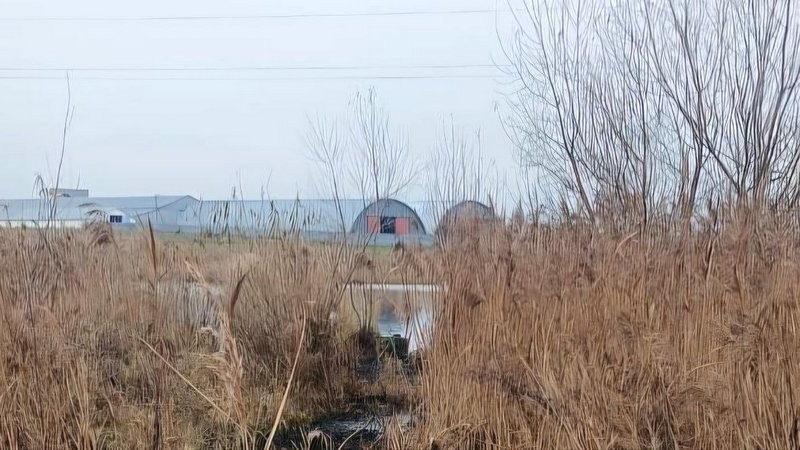 В реке Грязнуша утонул мужчина