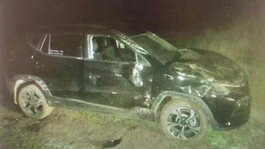 В Пичаевском округе рассмотрят дело о попытке обмана страховой компании