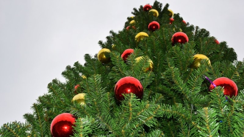 Тамбов начали украшать к Новому году