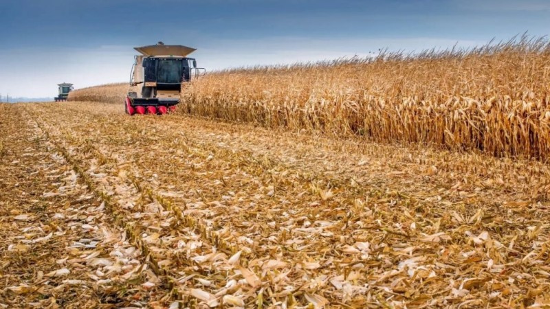 Сбор урожая зерновых с тамбовских полей увеличился на 1,5 млн тонн