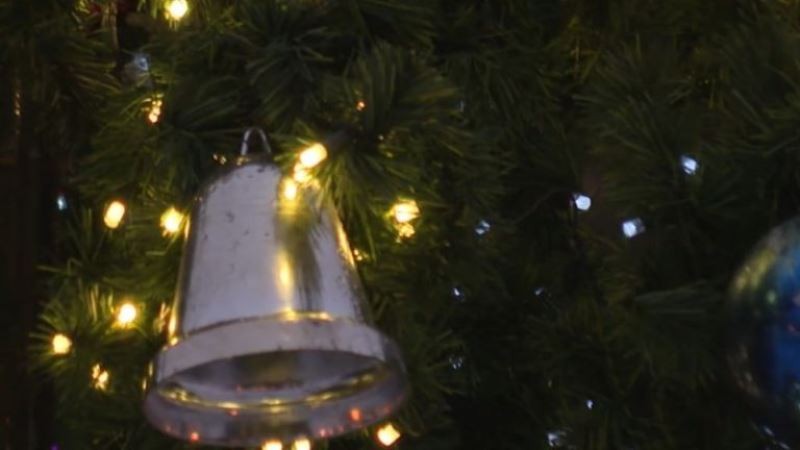 По числу года: в тамбовском горсаду украсят 26 новогодних ёлок