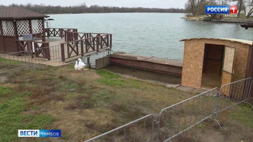 На Набережной в Тамбове установили домик для гусей