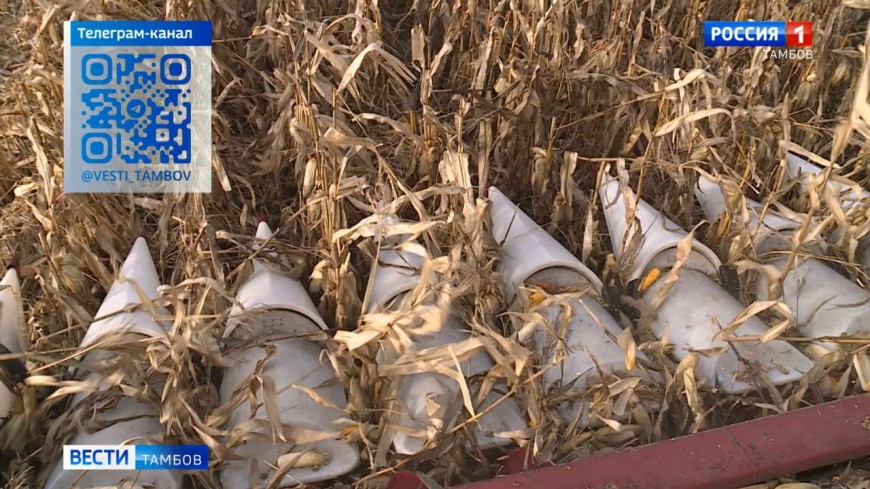 Новости коротко: обращение с ТКО и травмирование агронома в Моршанском округе