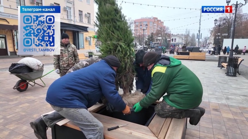 Новости коротко: планёрка у губернатора и ёлки на Тамбовском Арбате