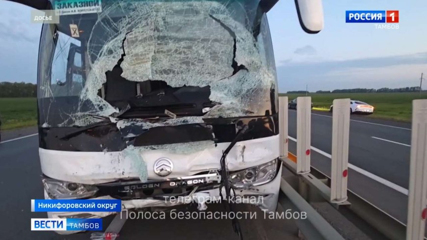 Дело о гибели пешеходов ушло в суд