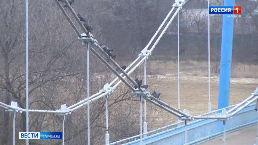 Снег выпадет и растает, и так много раз – прогноз погоды на неделю