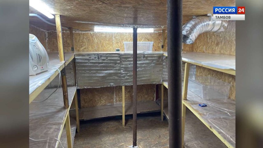 Тамбовские полицейские прикрыли нарколабораторию в Притамбовье